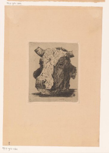 Head of a Cow