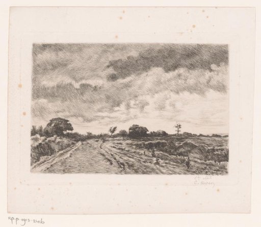 Heathland Landscape in Stormy Weather