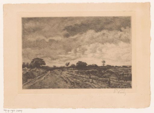 Heathland Landscape in Stormy Weather