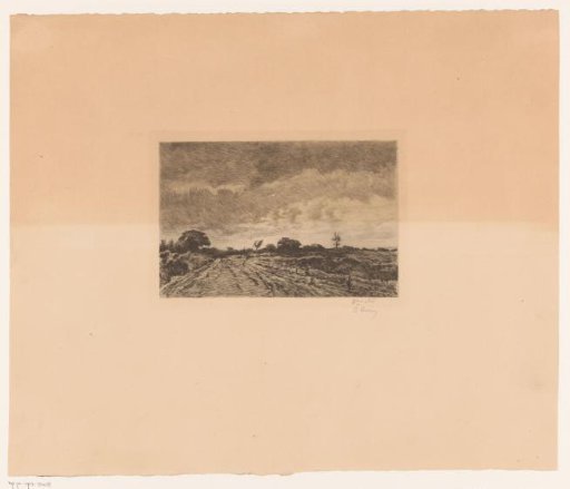 Heathland Landscape in Stormy Weather