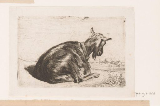 Reclining goat