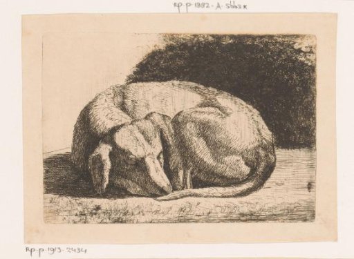 Sleeping dog