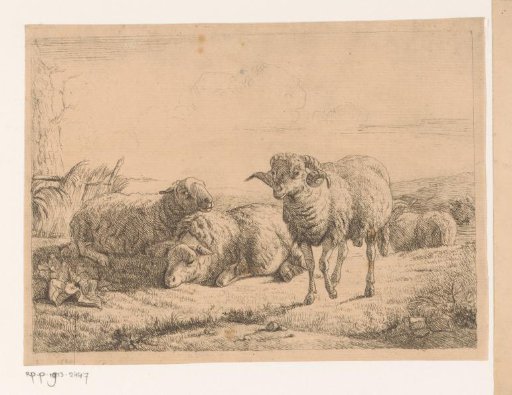 Landscape with three sheep and a ram