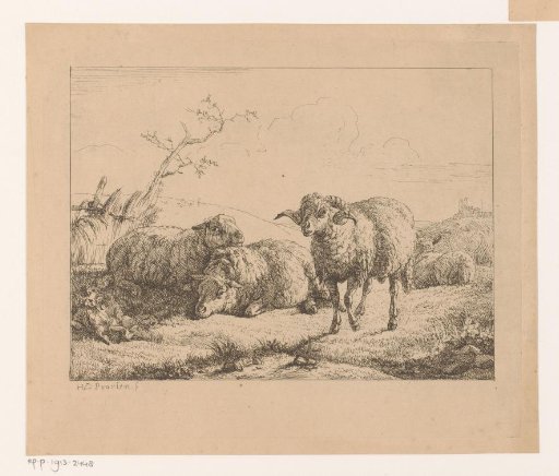 Landscape with three sheep and a ram