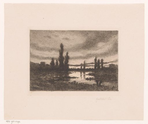 Poplars along the Lys near Ghent