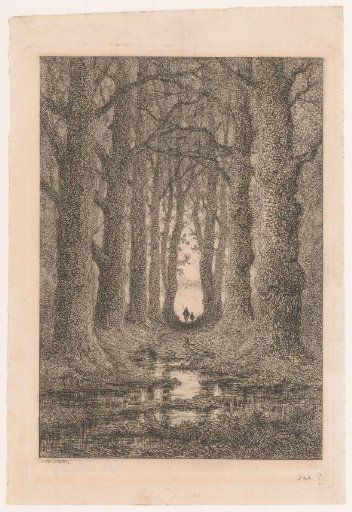 Two Figures Walking at Sunset in the Sonian Forest
