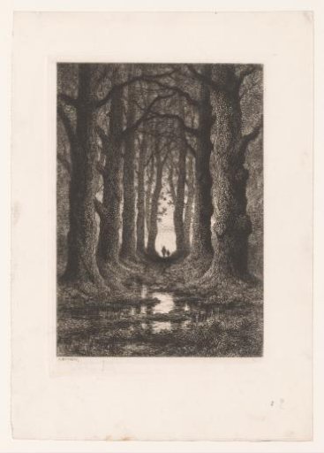 Two Figures Walking at Sunset in the Sonian Forest