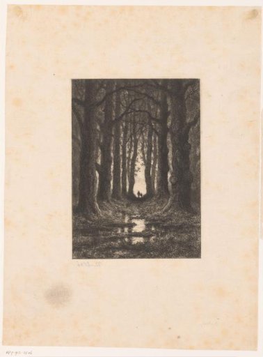 Two Figures Walking at Sunset in the Sonian Forest