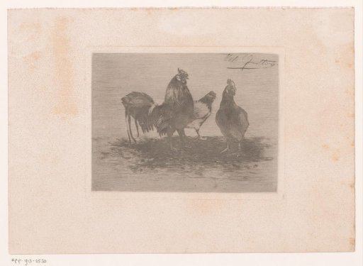 Rooster and two hens