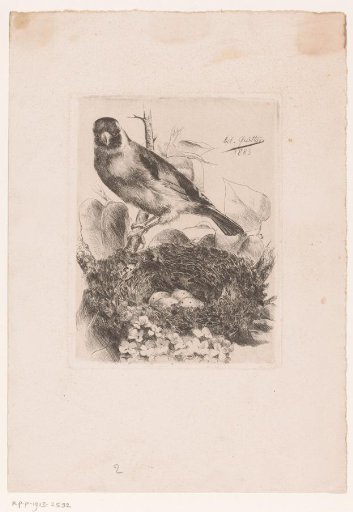 Bird by a nest with four eggs