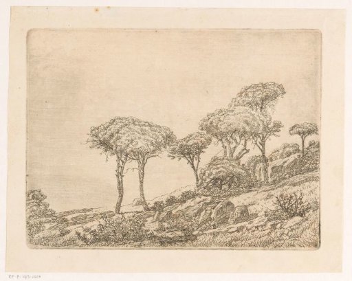Mountainous landscape with trees