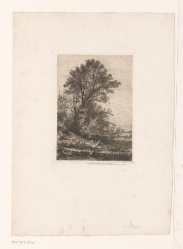 Hilly landscape with a tall tree and a church in the background