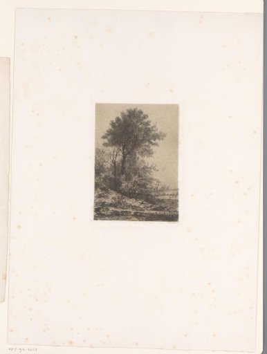 Hilly landscape with a tall tree and a church in the background
