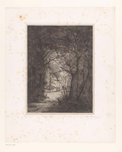 Man resting on a clearing in a forest