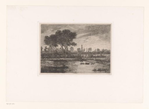 Peatland landscape near Hoogstraten