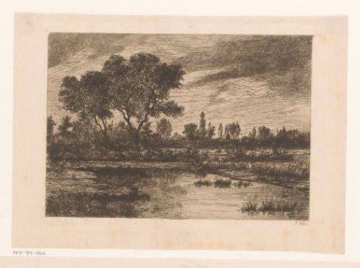 Peatland landscape near Hoogstraten