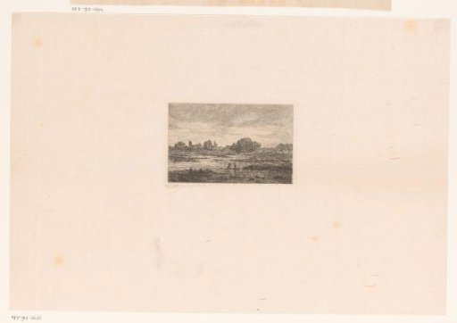 Peatland landscape with two birds near Minderhout
