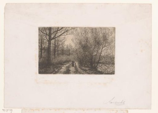 Figure on a Forest Path