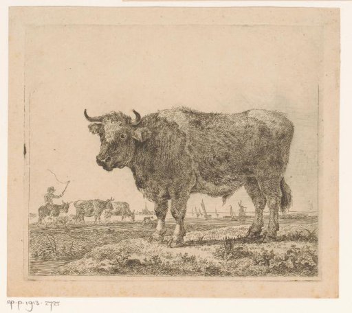 Landscape with an Ox