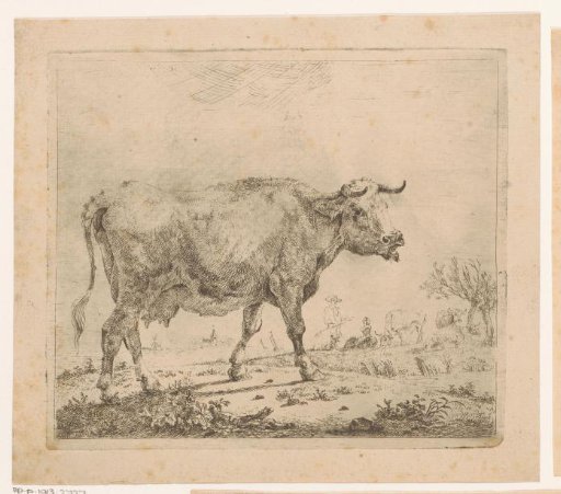 Lowing Cow