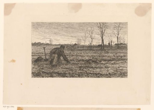 Peasant at work in the field