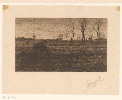 Peasant at work in the field