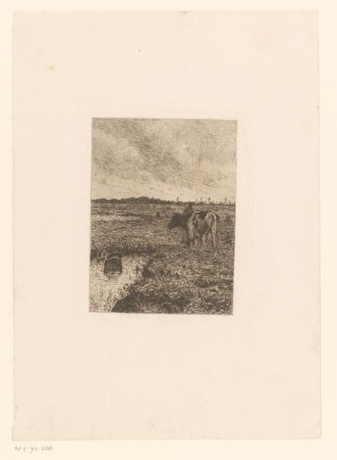 Woman and cow standing by a pool of water