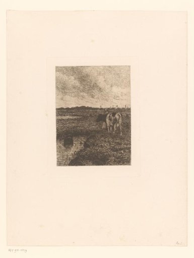 Woman and cow standing by a pool of water