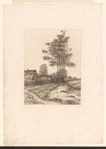 Landscape with farm and cattle