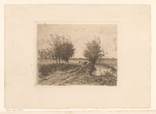 Landscape with cows on a road along a ditch