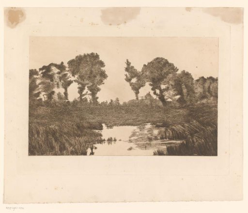 Landscape with pool of water