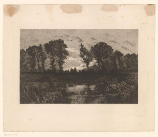 Landscape with pool of water
