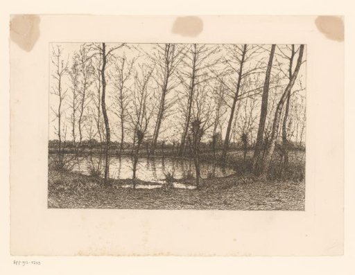 Landscape with pond surrounded by trees