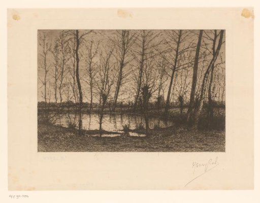 Landscape with pond surrounded by trees