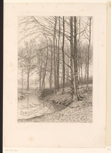 Autumn forest with ditch