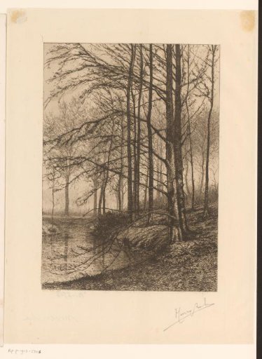 Autumn forest with ditch