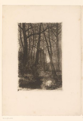 Forest with ditch by moonlight