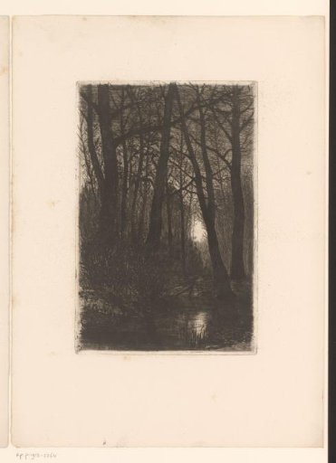 Forest with ditch by moonlight