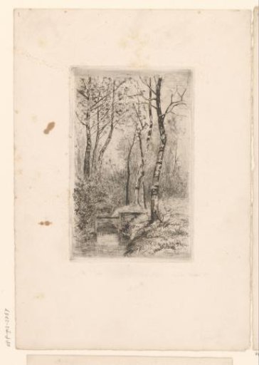 Landscape with stream and birch trees