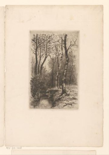 Landscape with stream and birch trees