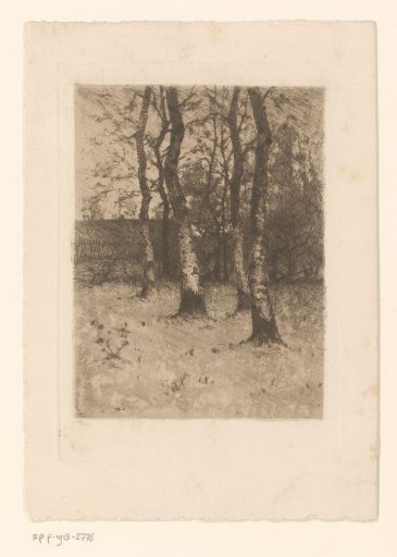 Landscape with birch trees and a barn
