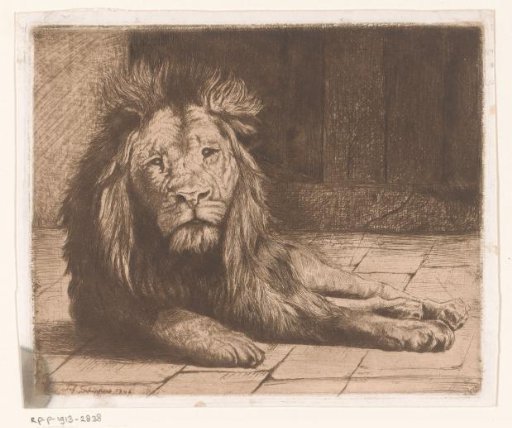 Reclining lion