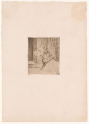 Head of a reclining dog with collar