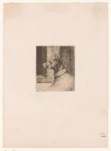 Head of a reclining dog with collar