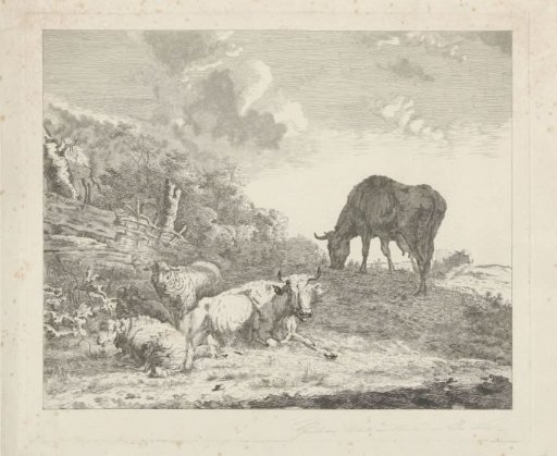 Landscape with cattle