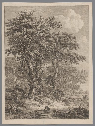 Landscape near Zuidlaren