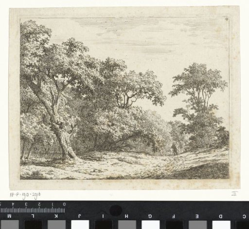 Landscape with trees and a man on the road