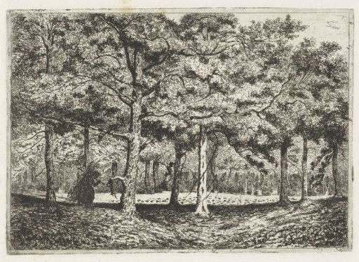 Wood with a Gleaner