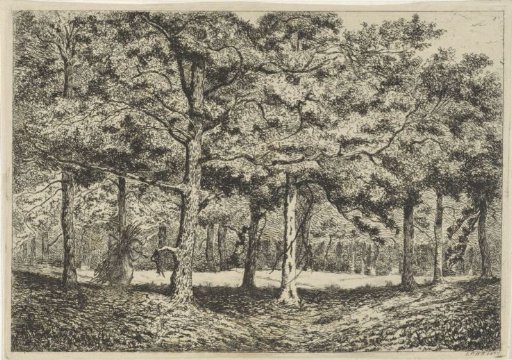 Wood with a Gleaner