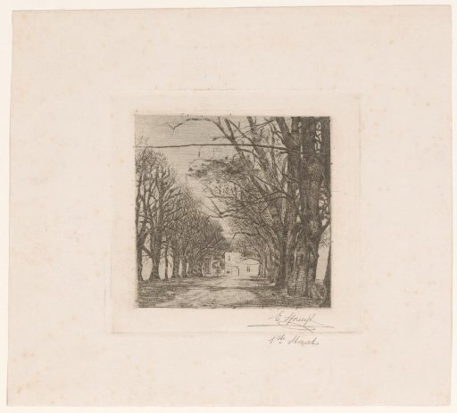 Avenue of trees leading to a building